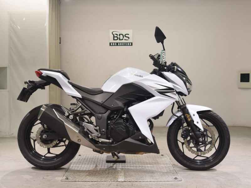 Kawasaki Z250 2013