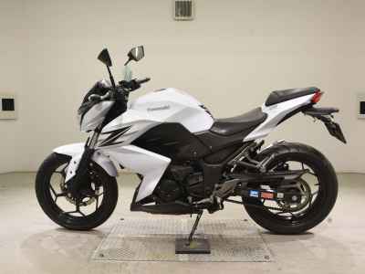 Kawasaki Z250 2013