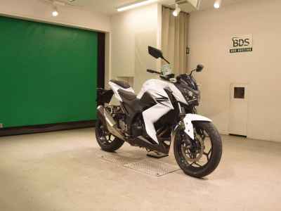 Kawasaki Z250 2013
