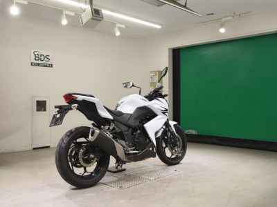 Kawasaki Z250 2013