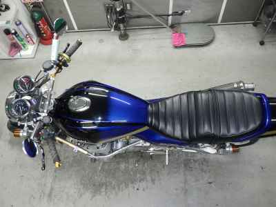 Kawasaki W800 2022