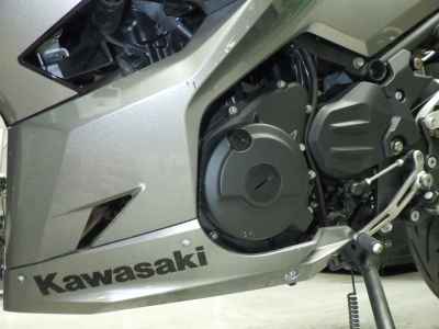 Kawasaki Ninja 250 2019