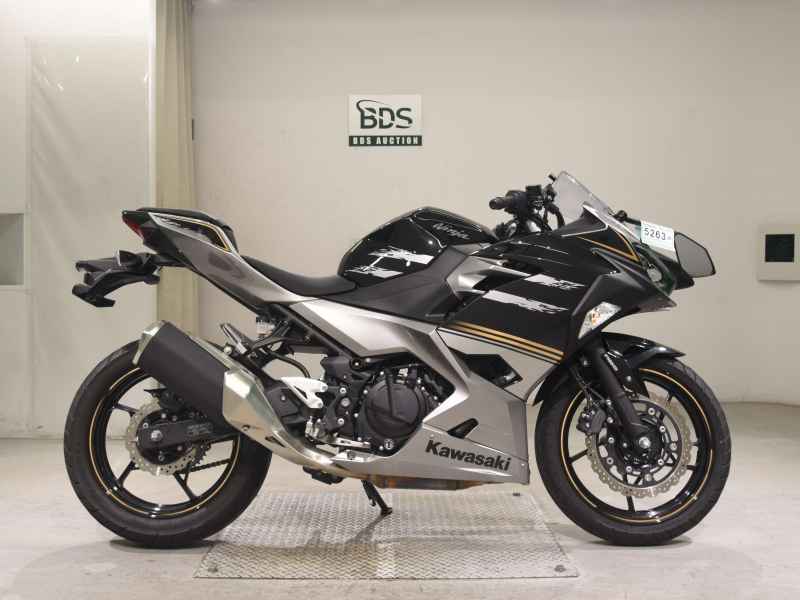Kawasaki Ninja 250 2019