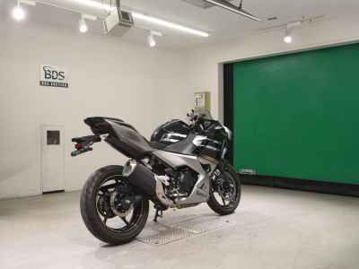Kawasaki Ninja 250 2019
