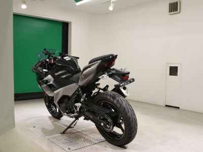 Kawasaki Ninja 250 2019