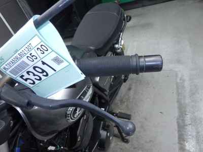 Kawasaki GPX Legend Twin 2020