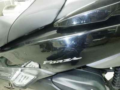 Honda Forza Z 2008