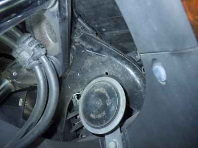 Honda Forza Z 2008