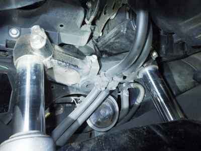 Honda Forza Z 2008