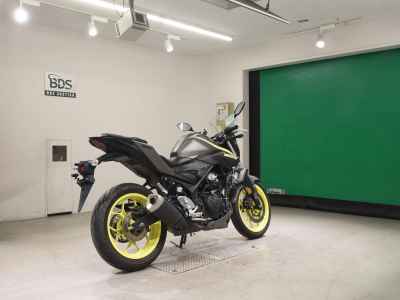 Yamaha MT-25 2018