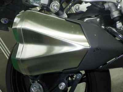 Kawasaki Ninja 1000 2021