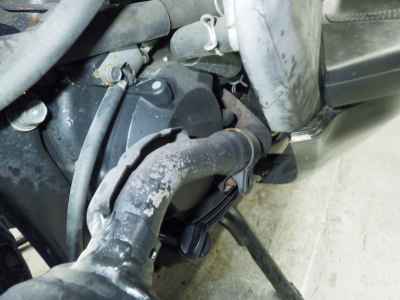 Honda Forza 2007