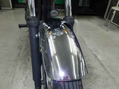 Kawasaki Estrella 2008