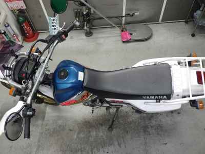 Yamaha TT250R RAID 1995