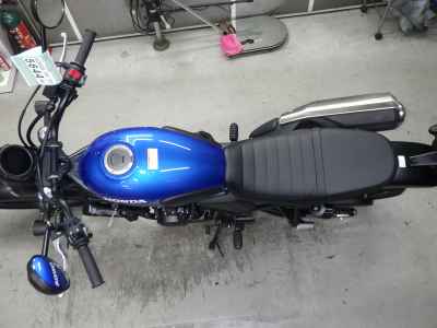 Honda CL500 2024