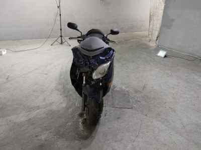 Honda Forza Z 2004