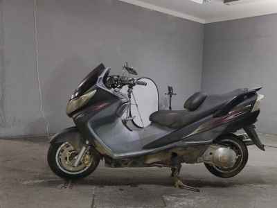 Kawasaki Epsilon 250 2006