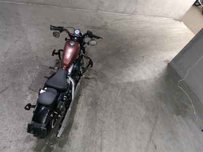 Harley-Davidson Sportster Forty-Eight XL1200X 2013
