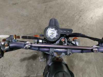 Yamaha TRICKER 2004