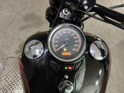 Harley-Davidson CROSS BONES FLSTSB1580 2008