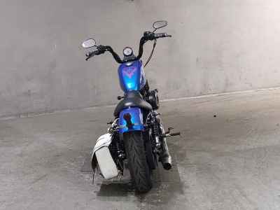 Harley-Davidson Sportster Iron XL883N 2010