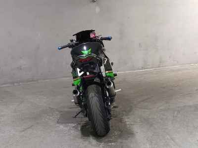 Kawasaki Ninja 1000 2012