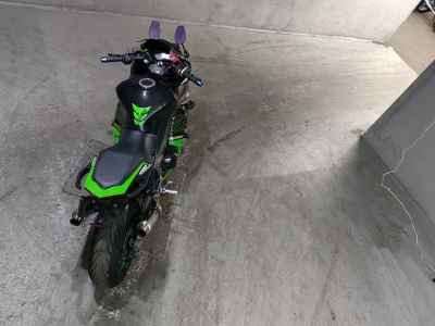 Kawasaki Ninja 1000 2012