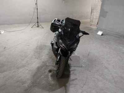 Kawasaki Ninja 1000 2017