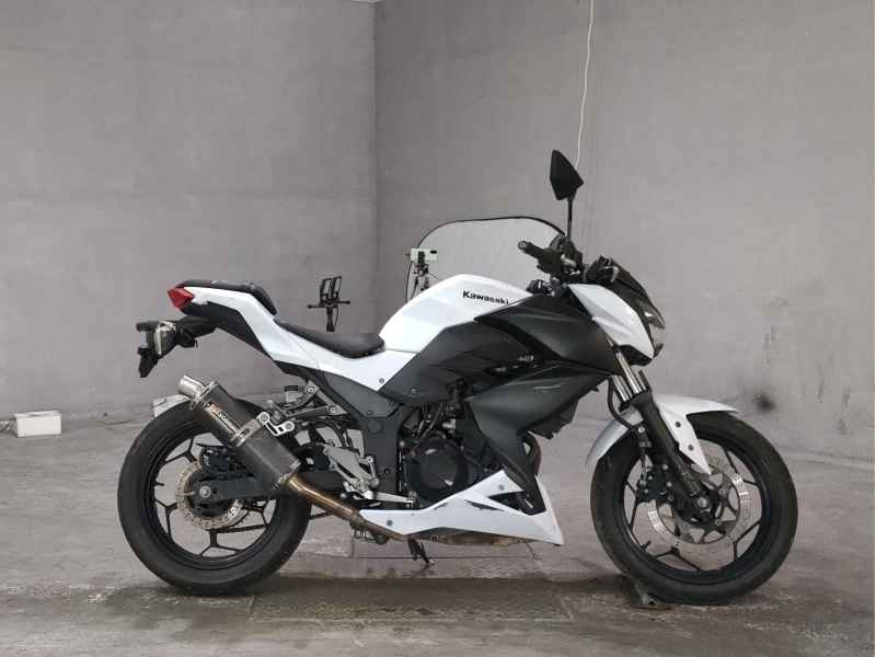 Kawasaki Z250 2014