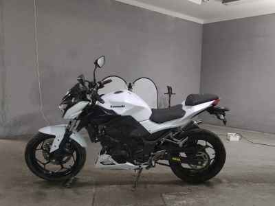 Kawasaki Z250 2014