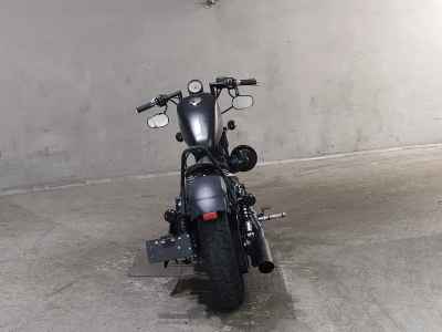 Harley-Davidson Sportster Iron XL883N 2010