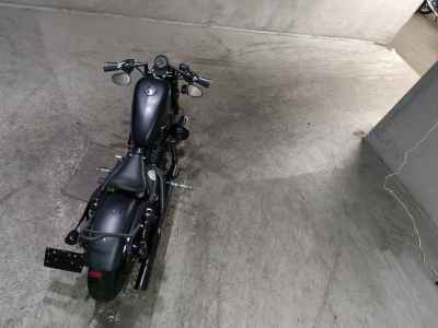 Harley-Davidson Sportster Iron XL883N 2010