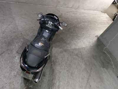 Honda Forza Z 2006