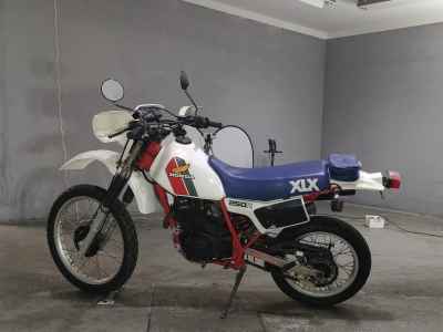 Honda XLX250R 1983