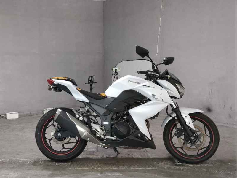 Kawasaki Z250 2013