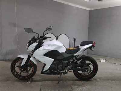 Kawasaki Z250 2013
