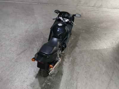Honda CBR1100XX Blackbird 1999