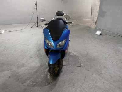 Honda Forza Z 2007