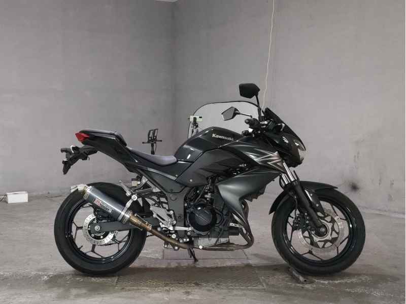 Kawasaki Z250 2016