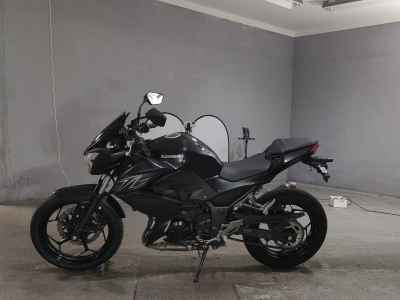 Kawasaki Z250 2016