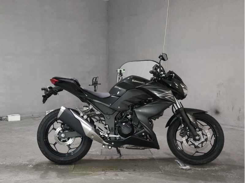Kawasaki Z250 2016
