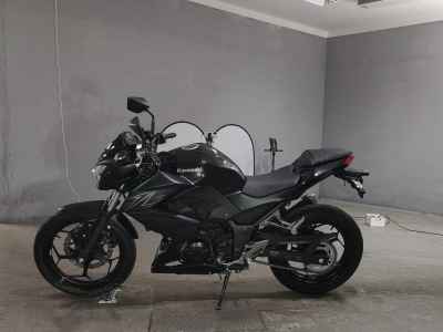 Kawasaki Z250 2016