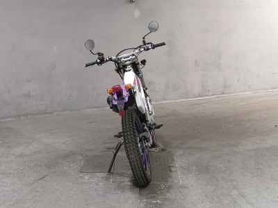 Yamaha TY250Z SCOTTISH 1995