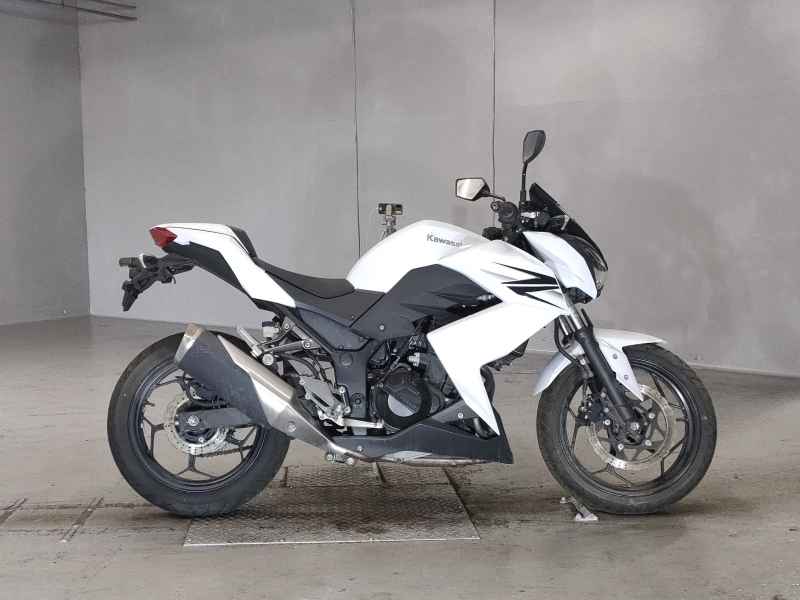 Kawasaki Z250 2013