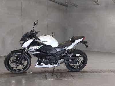 Kawasaki Z250 2014
