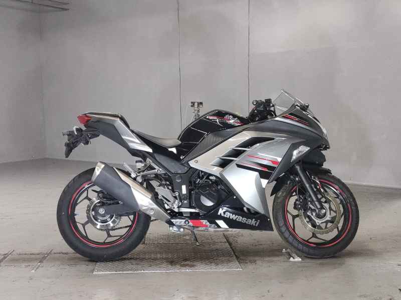 Kawasaki Ninja 250 2013