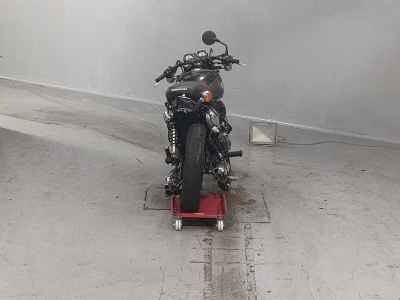 Kawasaki W800 2020