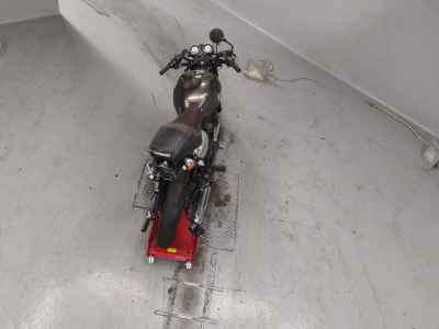 Kawasaki W800 2020