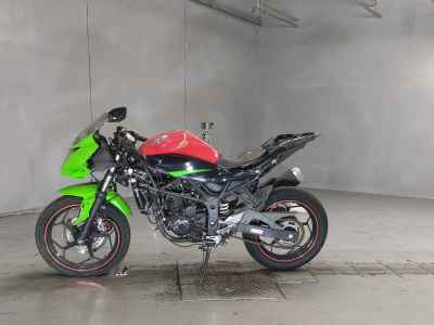 Kawasaki Ninja 250 2015