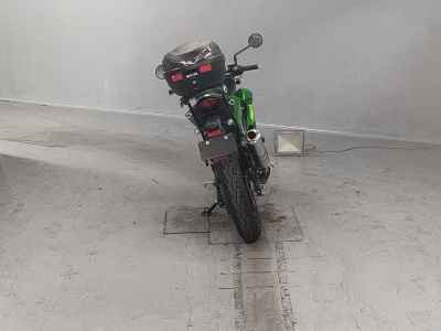 Kawasaki Z250SL 2016
